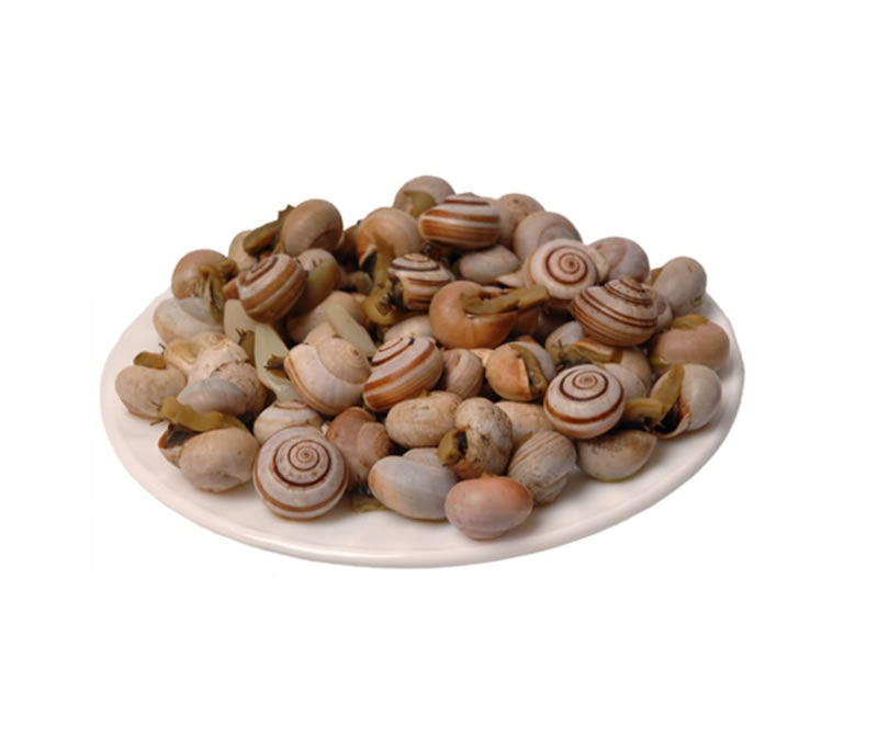 Escargot  Calda (seau de 1 kg)