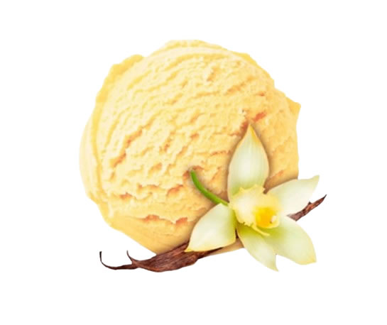 Cuvette de crme glace en vrac  la vanille
